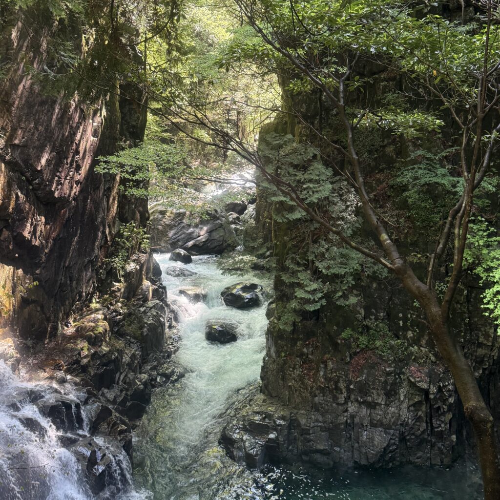 【求人担当🌸Vlog】夏休みは『計画的』？それとも『Not計画的』？